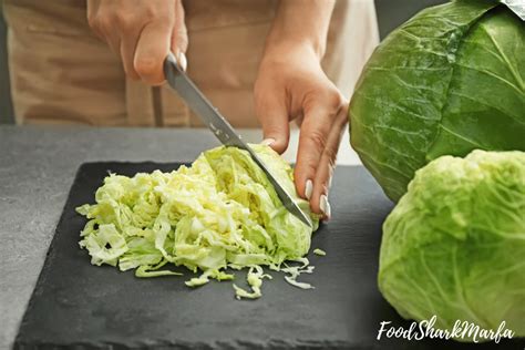 Can you freeze cabbage - Select freshly picked, solid heads. Trim coarse outer leaves from head. Cut into medium to coarse shreds or thin wedges, or separate head into leaves. Water blanch 1½ minutes. Cool promptly, drain and package, leaving ½-inch headspace. Seal and freeze. This document was extracted from "So Easy to Preserve", 6th ed. 2014.